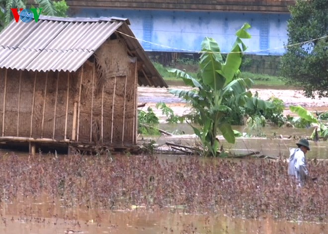 Toàn bộ diện tích lúa, rau màu, ao cá và các ruộng hoa ở khu vực ven suối Nặm La và xã Chiềng Xôm (TP Sơn La) bị ngập chìm trong biển nước, nhiều hộ gia đình không kịp sơ tán tài sản.