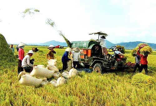 Những nghiên cứu nổi bật trong ngành nông nghiệp