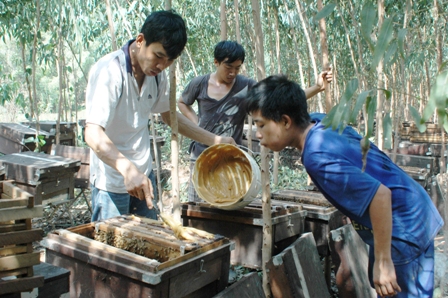Anh Phạm Vũ Linh cho đ&agrave;n ong ăn