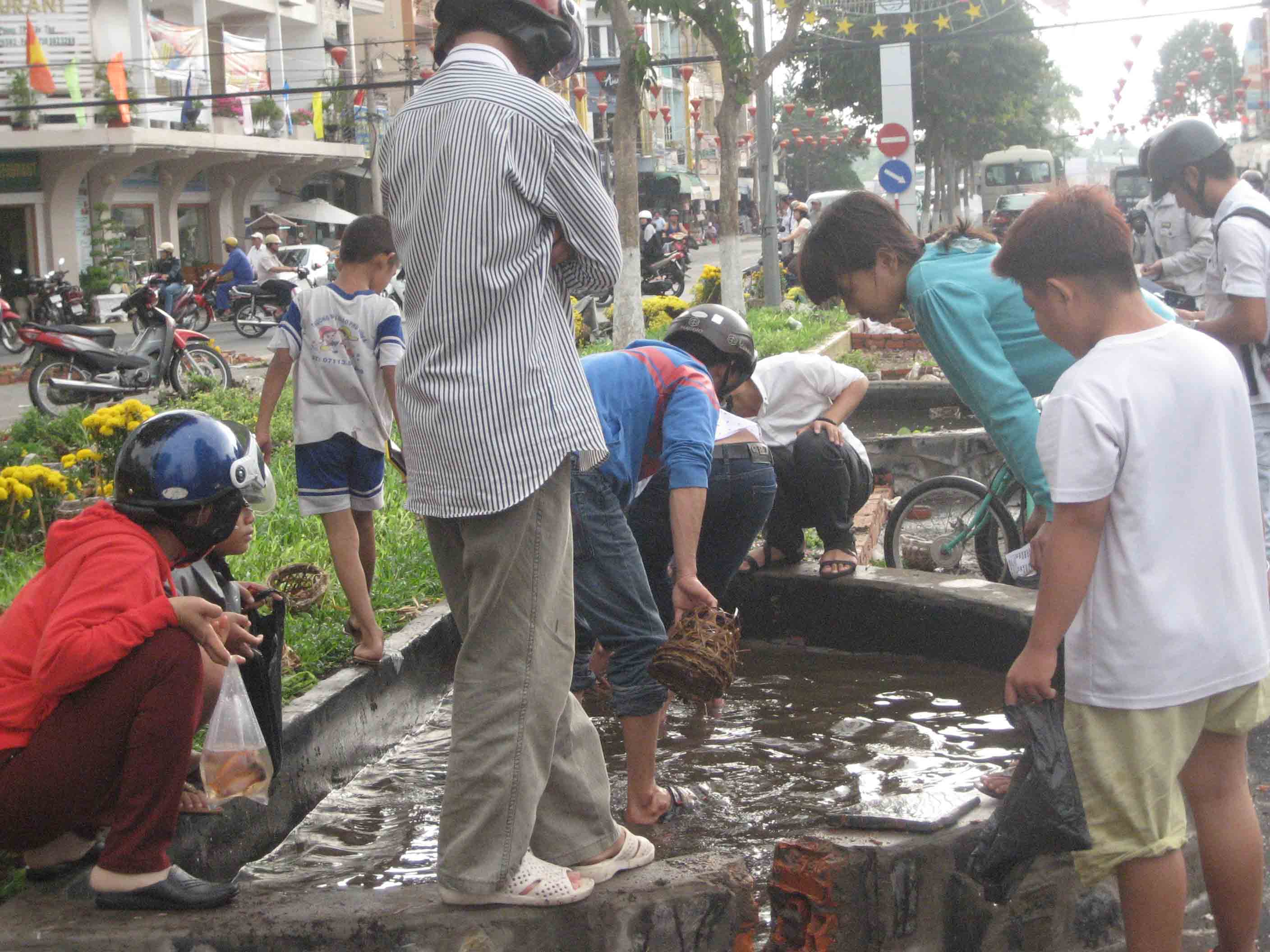 Nhiều người tranh nhau vớt c&aacute;