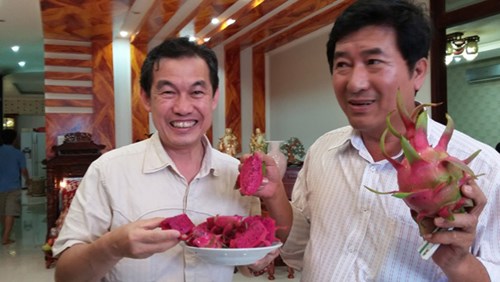 'Ông trùm' thanh long đất Bình Thuận