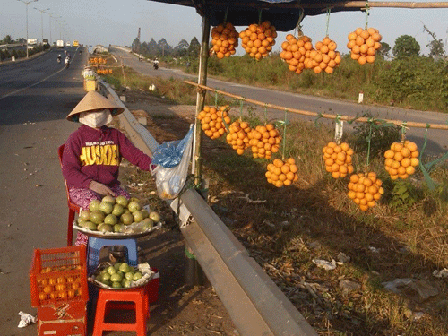 Người dân thị xã Bình Minh (tỉnh Vĩnh Long) chào bán thanh trà