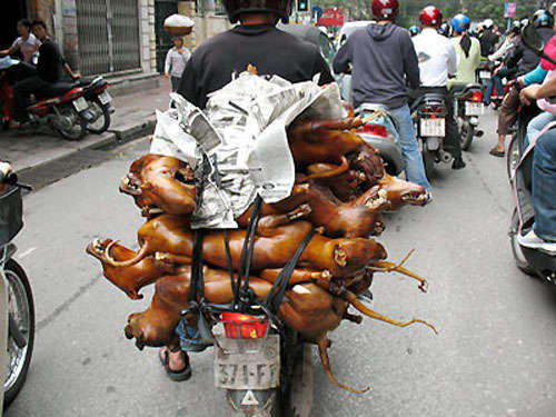 Bắt chủ quán thịt chó tiếp tay “cẩu tặc”