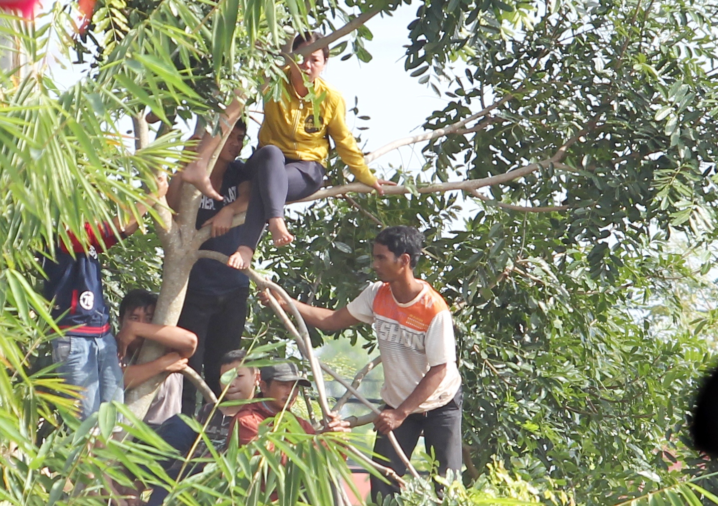Đ&atilde; c&oacute; hơn 4.000 người dự phi&ecirc;n t&ograve;a, nhiều người phải đu c&acirc;y để c&oacute; thể nh&igrave;n thấy r&otilde; 3 bị can