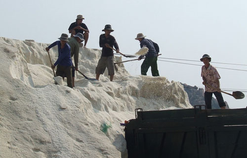Muối mất giá, thị trường tiêu thụ khó khăn, diêm dân Ninh Thuận đối mặt với một “mùa muối lạt”