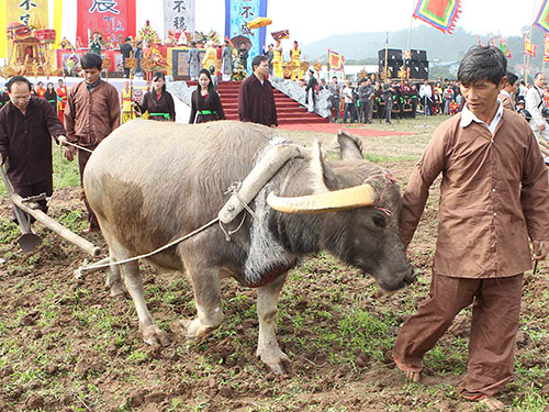 Bộ trưởng Bộ Văn hóa - Thể thao và Du lịch Hoàng Tuấn Anh (bìa trái) xuống cày đầu năm tại lễ hội Ảnh: TTXVN