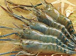 Nhắm mắt đưa chân