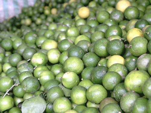 Giá chanh tại TPHCM lên tới 48.000 đồng/kg