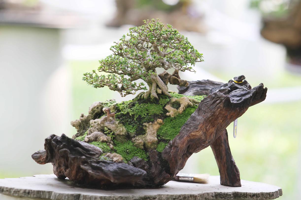 Non b&ocirc;̣ ki&ecirc;̉u dáng đẹp
