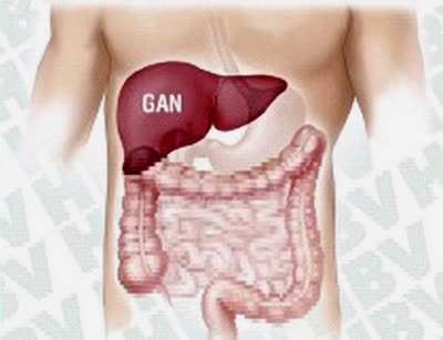 Bệnh nhân viêm gan C chỉ còn chi trả nửa tiền thuốc