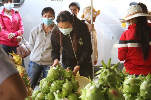 Những tr&aacute;i thanh long mua dọc đường l&agrave;m qu&aacute; Tết được c&acirc;n bằng t&igrave;nh thương của những người con xe gia đ&igrave;nh