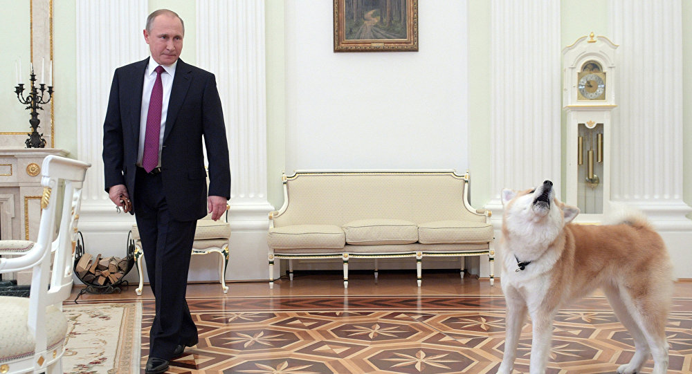 Ông Putin dắt chó cưng đi phỏng vấn làm phóng viên hết hồn