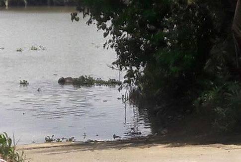 Giăng lưới kéo trúng thi thể phụ nữ