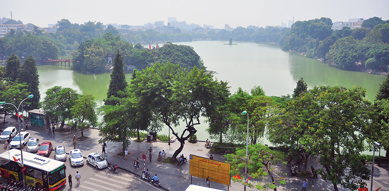 Mới lạ “bảo hiểm cây xanh”