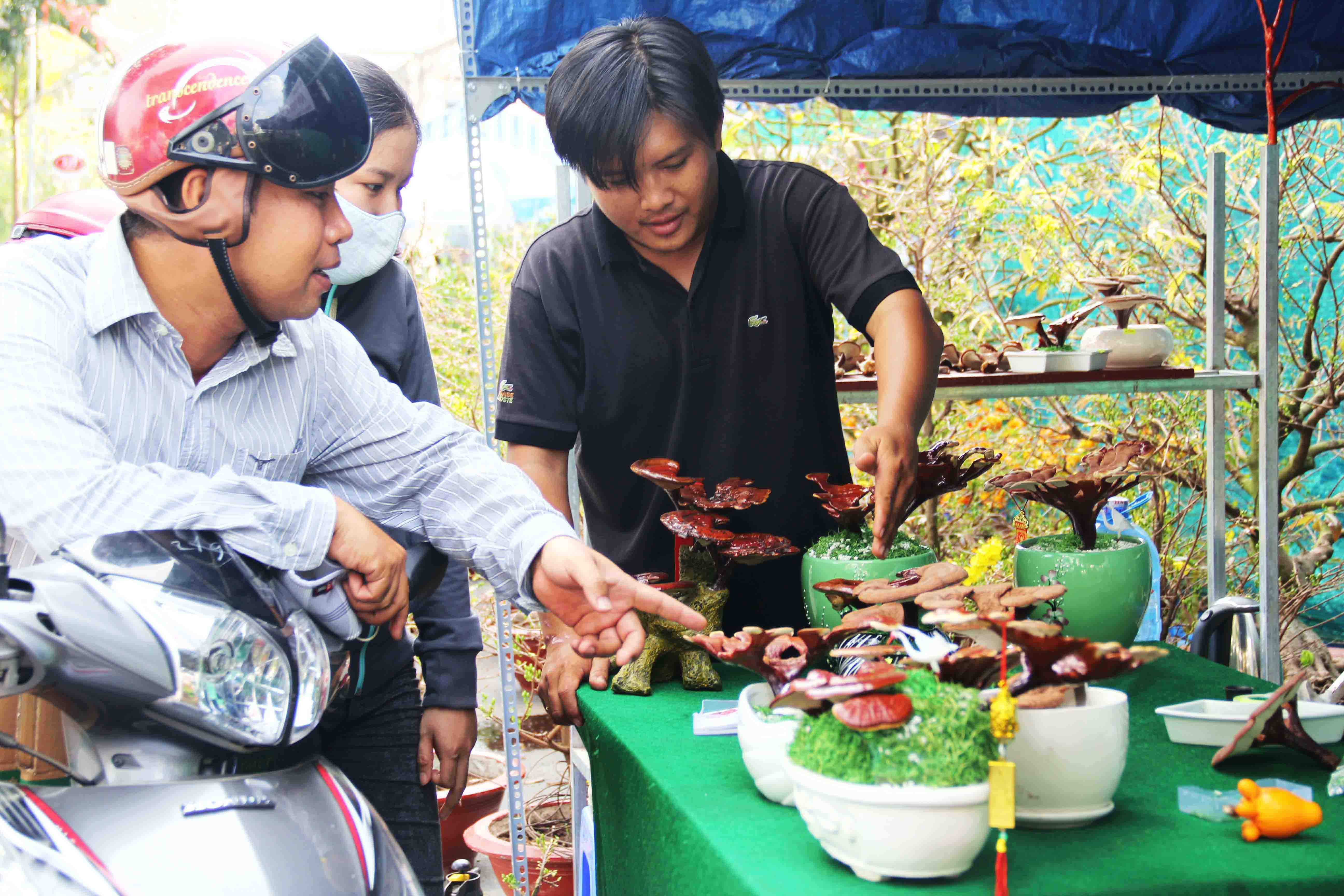 Kiểng bonsai linh chi hút khách vì "độc", lạ