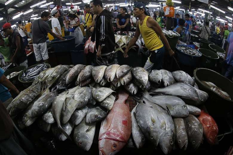 “Chiến tranh cá” ở biển Đông