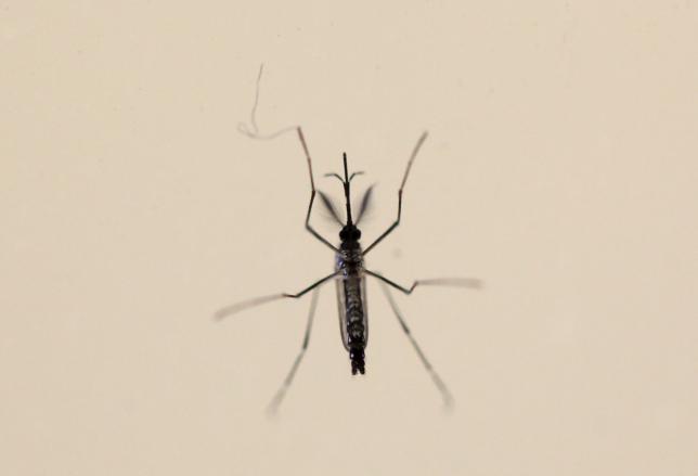 Thêm nhiều chứng bệnh nguy hiểm liên quan đến virus Zika