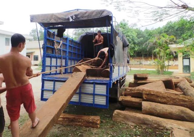 Bắt xe chở gỗ “qua mặt” nhiều trạm kiểm lâm cấp dưới