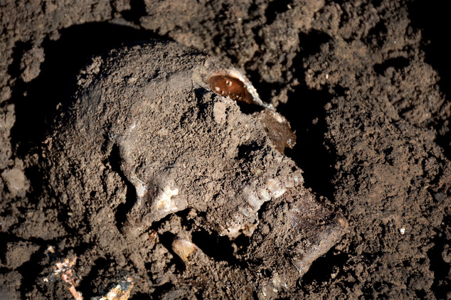 72 ngôi mộ tập thể chôn hàng ngàn nạn nhân IS