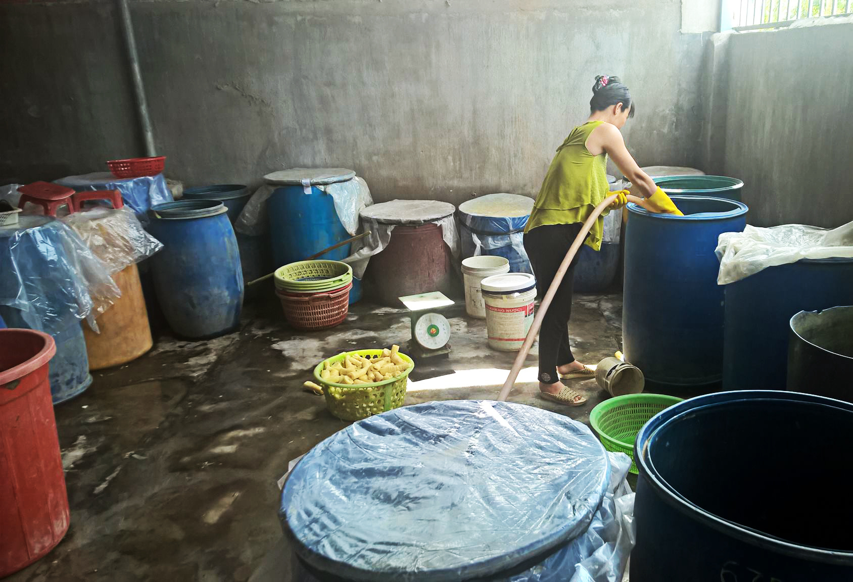 Bên trong cơ sở sơ chế măng bẩn.
