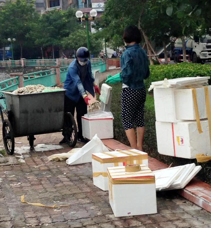 Nam thanh niên đang đưa cá chết hồ Tây vào trong thùng xốp - Ảnh: Đặng Như Quỳnh