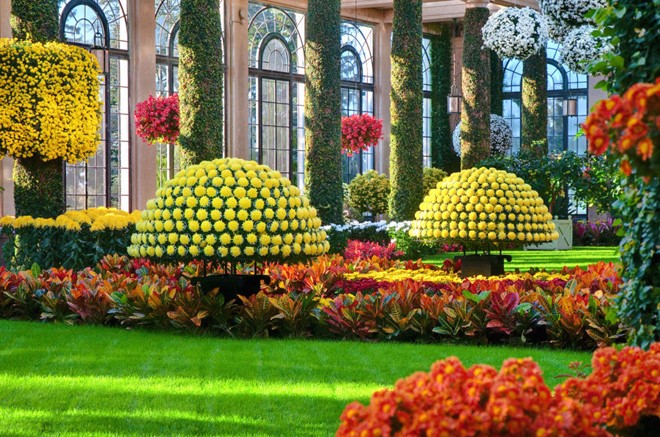 Ngẩn ngơ cảnh đẹp mùa thu nước Mỹ