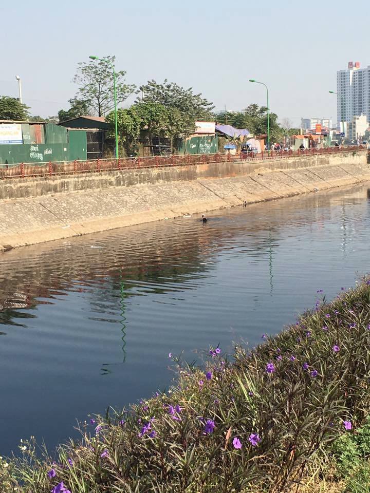
Nam thanh ni&ecirc;n bơi dưới s&ocirc;ng T&ocirc; Lịch h&ograve;ng tẩu tho&aacute;t
