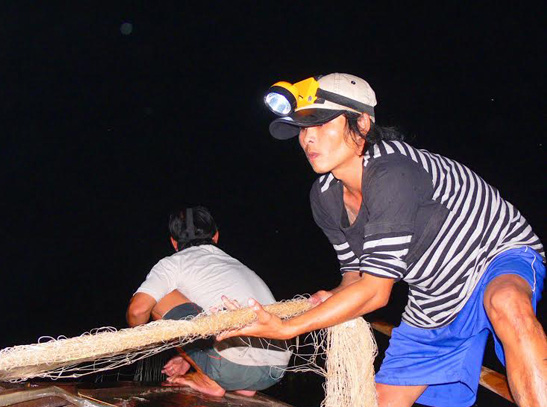 Trắng đêm "đuổi" cá bông lau