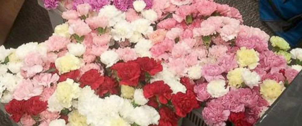 Chàng trai dành dụm tiền mua quà Valentine tặng gần 900 cô gái