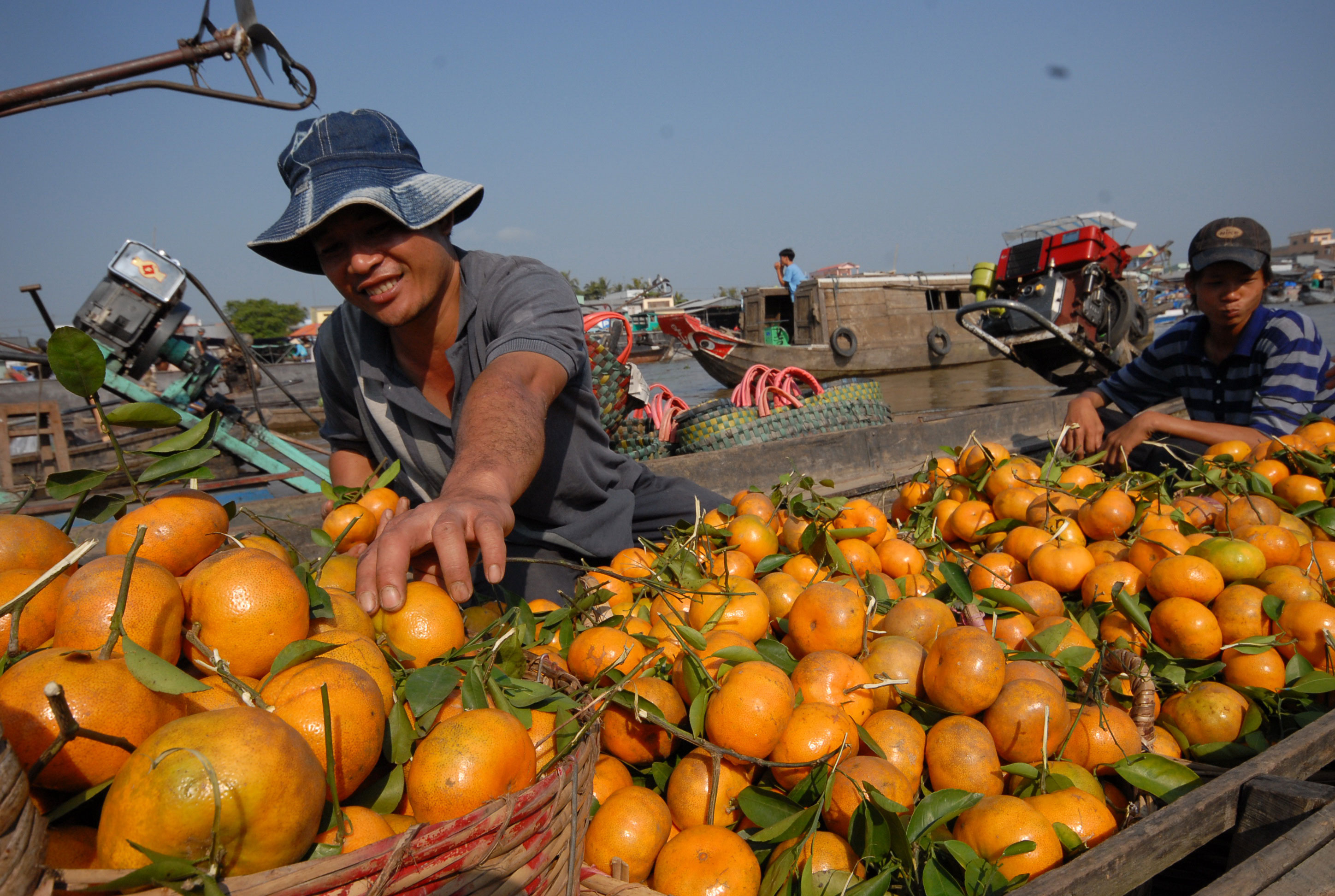Chờ TPP để xuất hàng đi Mỹ