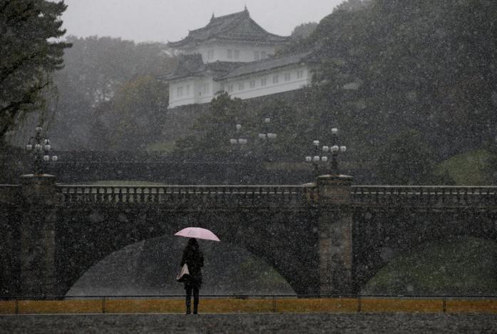 Tokyo sững sờ vì tuyết rơi tháng 11