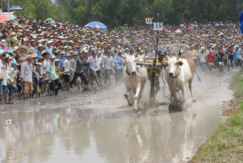 Khai thác bừa bãi “giết” du lịch miền Tây