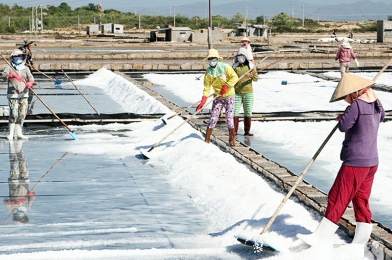 Diêm dân khốn khổ