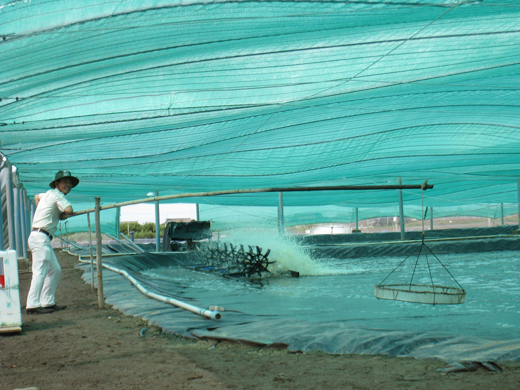 Trứng Artemia được áp thuế nhập khẩu 0%