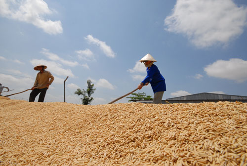 Giữ nguyên chỉ tiêu xuất khẩu nông sản năm 2020