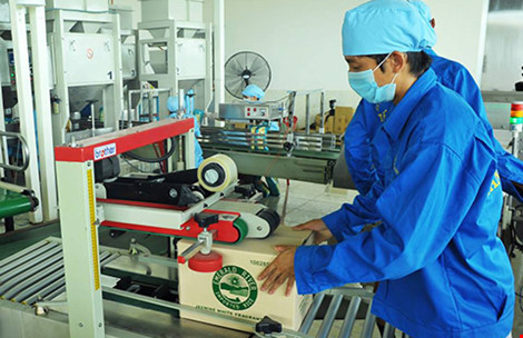 Bài học đắt giá với xuất khẩu gạo