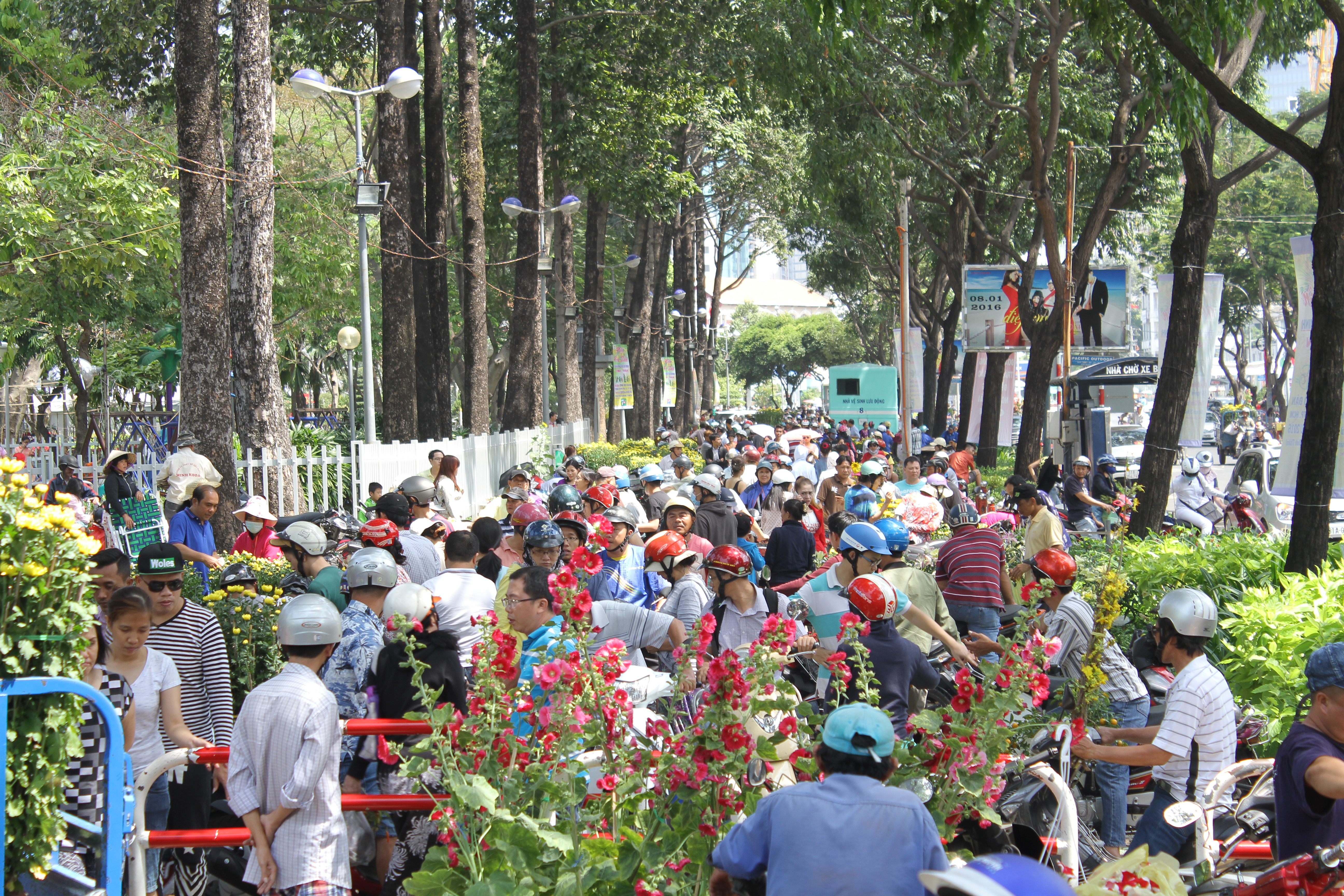 Tiểu thương bán đổ bán tháo hoa Tết