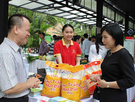 Vì sao gạo Việt bị 'đo ván' cả sân nhà lẫn sân khách?