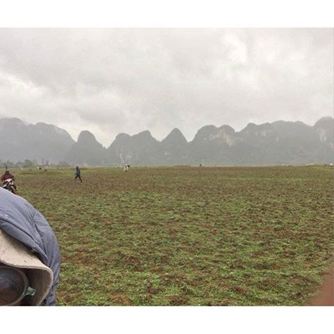 Dàn sao “Kong: Skull Island” liên tục khoe ảnh ở Việt Nam