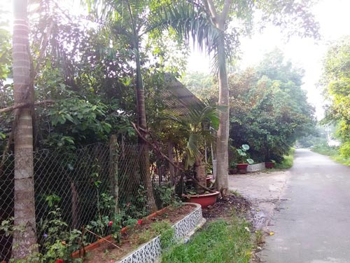 Nghi can quản lý… cơ sở bánh tráng