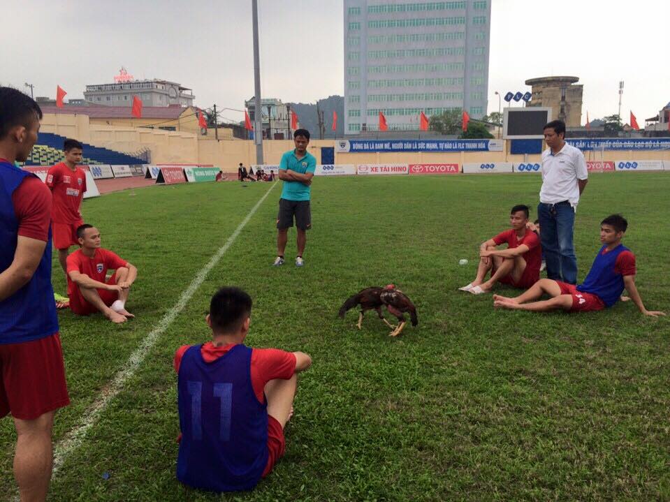 Cầu thủ Thanh Hóa đá gà “căng nhất Vịnh Bắc bộ”
