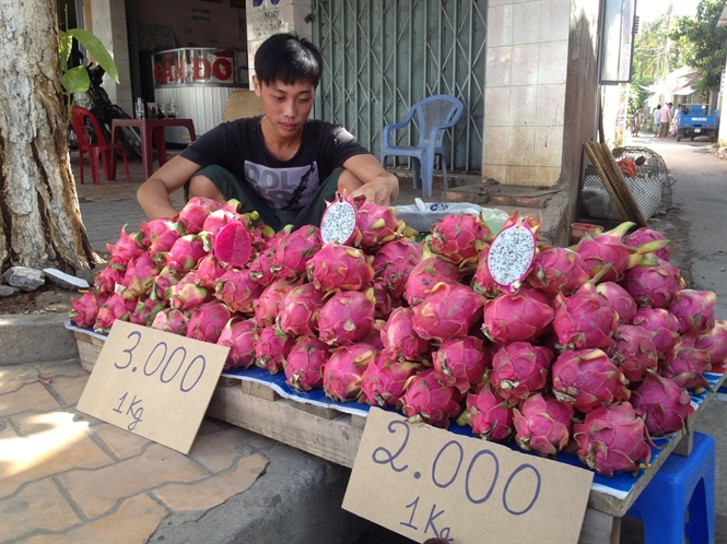 Thương lái ép nhà vườn tới chân tường