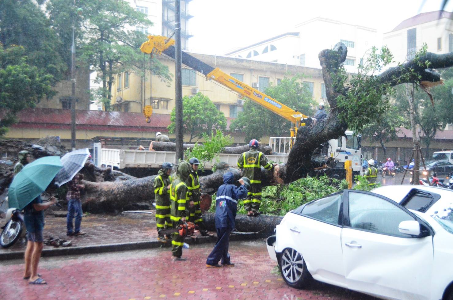 Hà Nội: Mưa to, cây đổ đè xế hộp bẹp dúm trong bão số 3