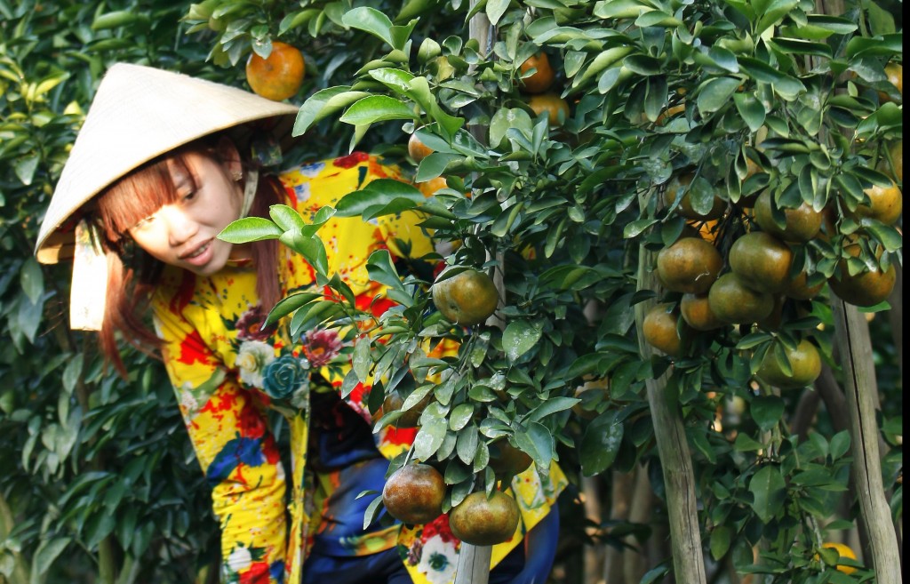 Khi nhà nông không dễ kiếm tiền chất phác