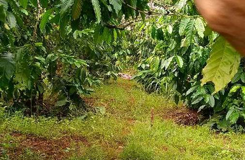 Người đàn ông chết không nguyên vẹn sau tiếng nổ lớn