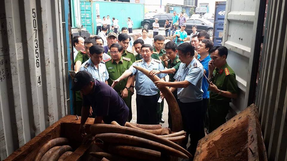 Hơn 2 tấn nghi ngà voi được ngụy trang tinh vi nhưng không qua mắt được lực lượng chức năng