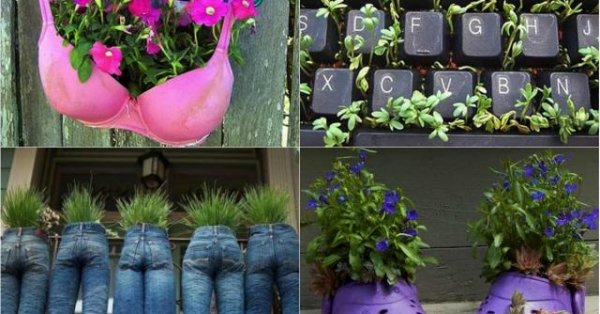 Những ý tưởng gieo trồng "bá đạo" nhất quả đất
