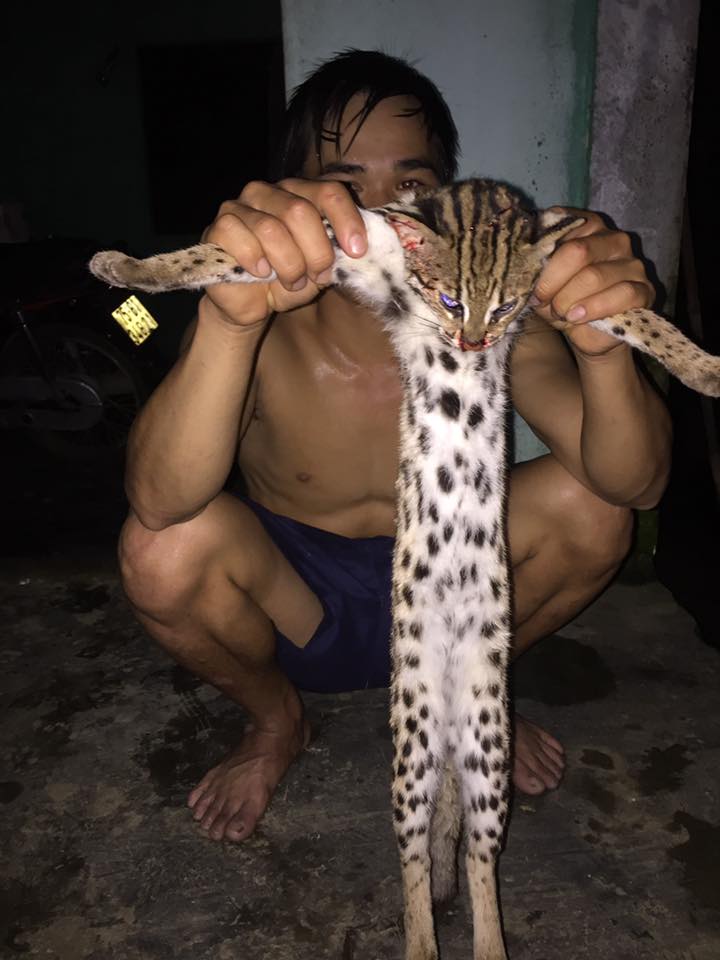 Tự sướng