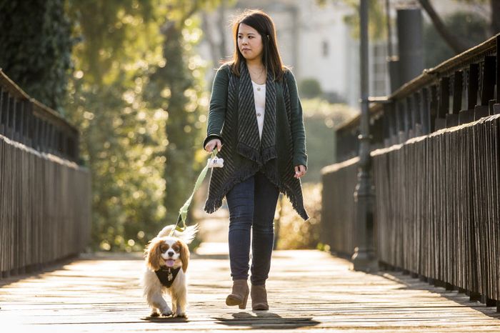 Nina Pham đi dạo cùng chó cưng sau khi khỏi bệnh. Ảnh: Dallas News