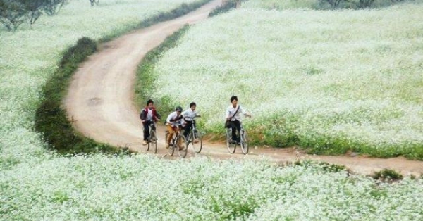 Những điểm đến mùa đông đẹp mê hồn chỉ muốn "quẩy"